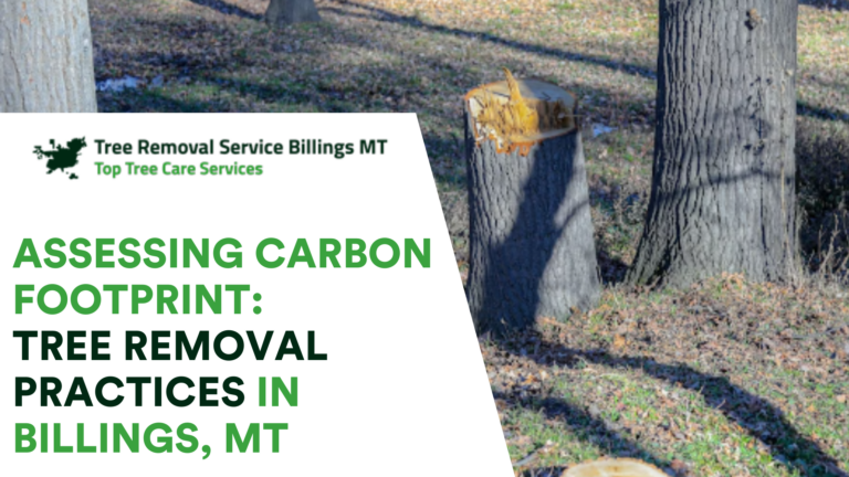 Assessing Carbon Footprint: Tree Removal Practices in Billings, MT