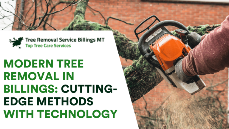 Modern Tree Removal in Billings: Cutting-Edge Methods With Technology