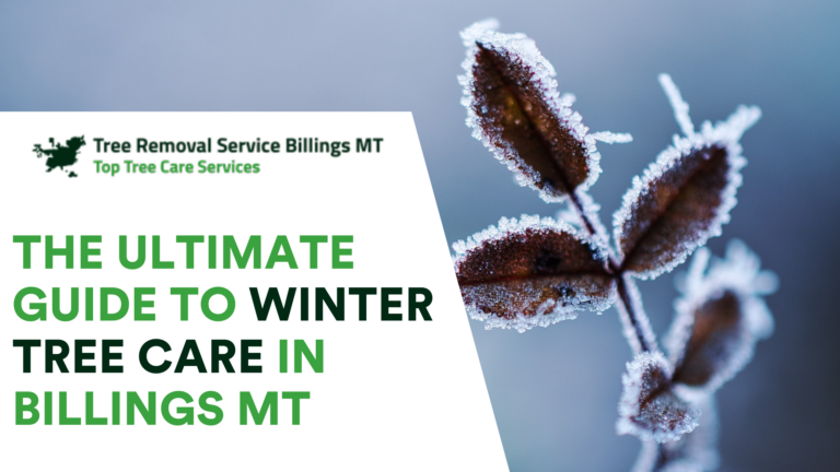 The Ultimate Guide to Winter Tree Care in Billings MT