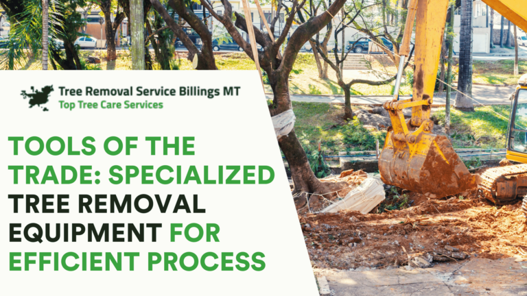 Tools of the Trade: Specialized Tree Removal Equipment for Efficient Process