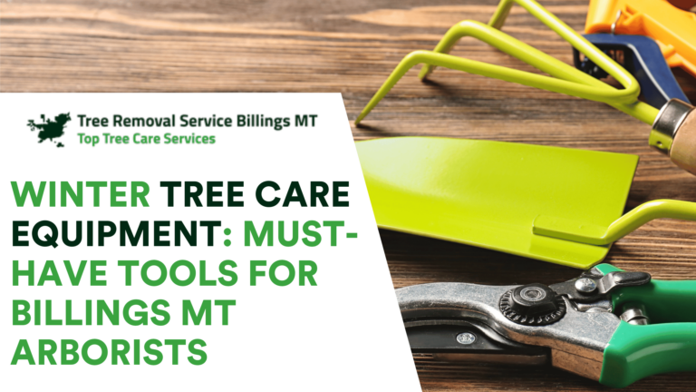 Winter Tree Care Equipment: Must-Have Tools for Billings MT Arborists