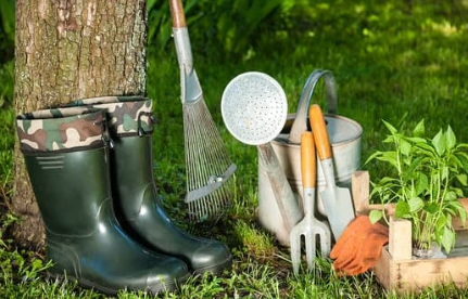 tree care tools