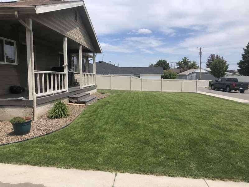 Property after hazardous tree removal in Billings, MT