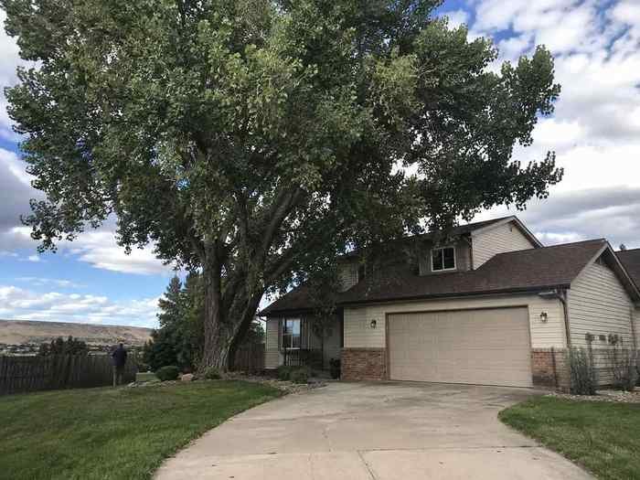 Hazardous tree before removal in Billings, MT