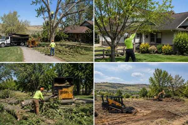 Tree service in Huntley, MT
