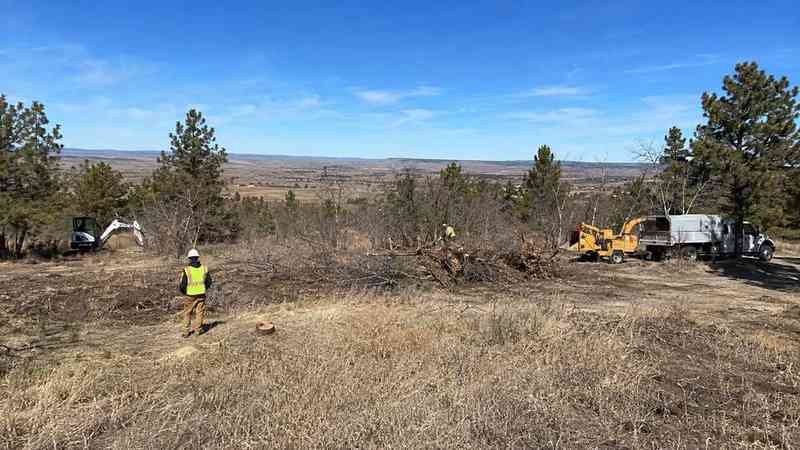 Land clearing tree service in Billings, MT