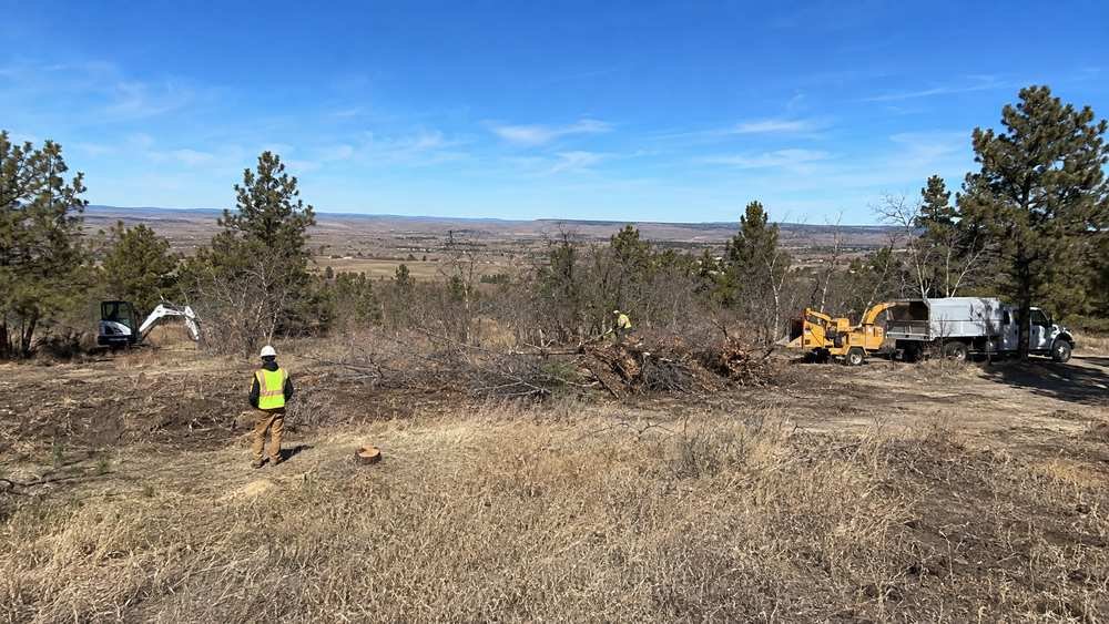 Land clearing tree service in Billings, MT