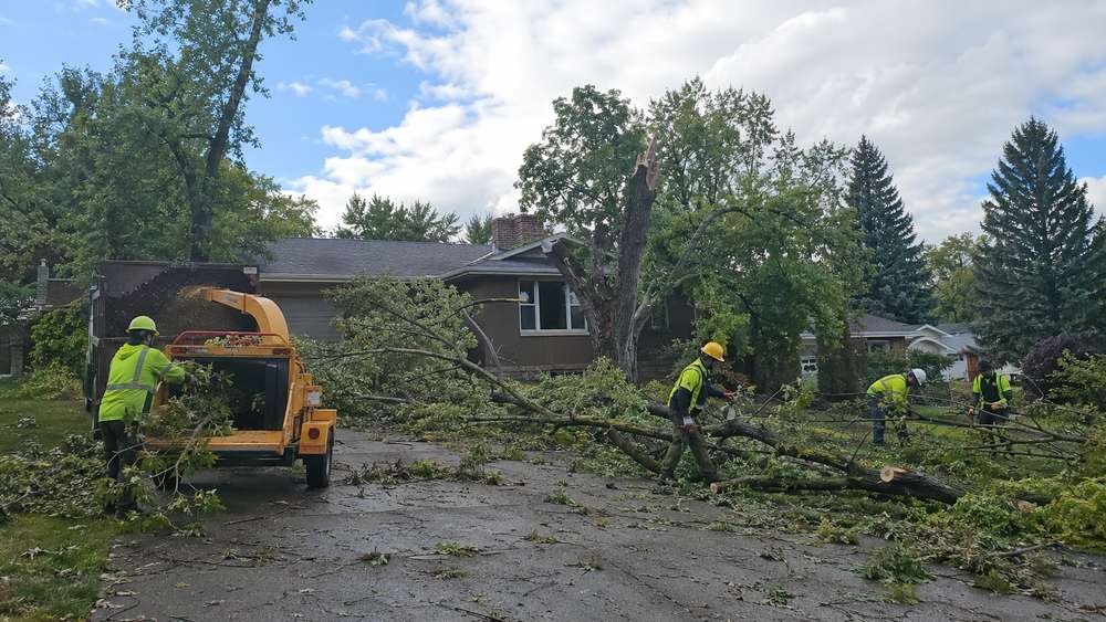 Storm damage tree cleanup in Billings, MT