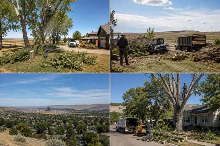 Tree service work across the Billings, MT area